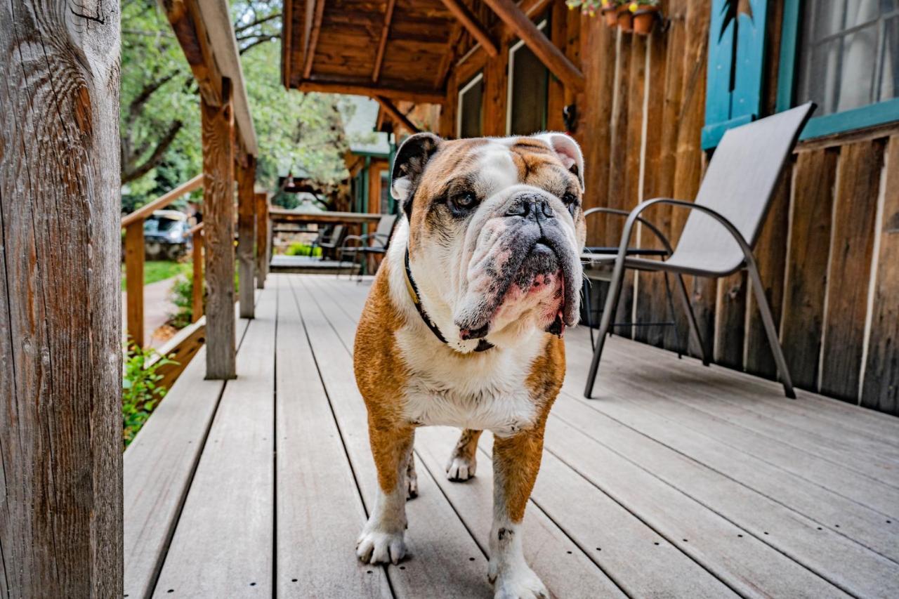 Colorado Bear Creek Cabins エバーグリーン エクステリア 写真