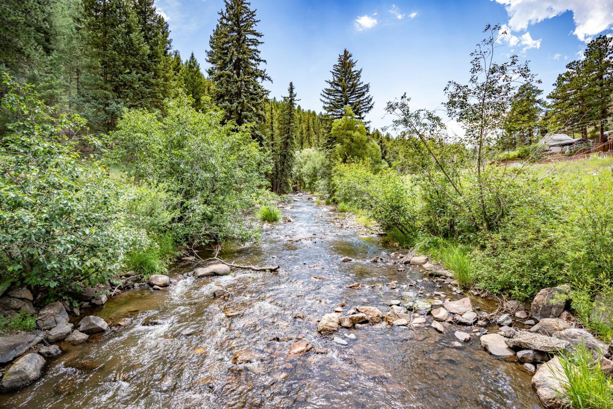 Colorado Bear Creek Cabins エバーグリーン 部屋 写真